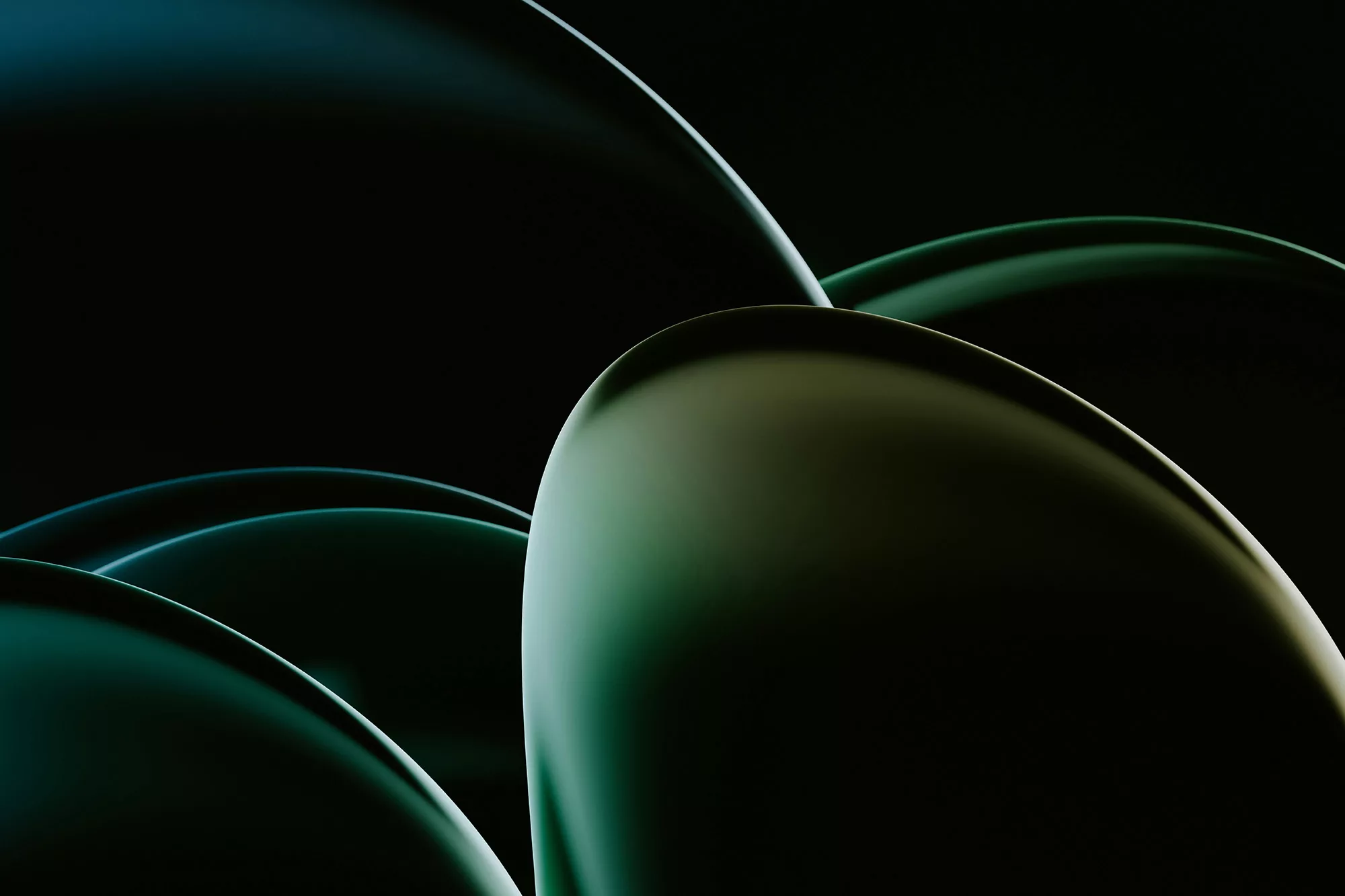 shine agency creativo en valencia